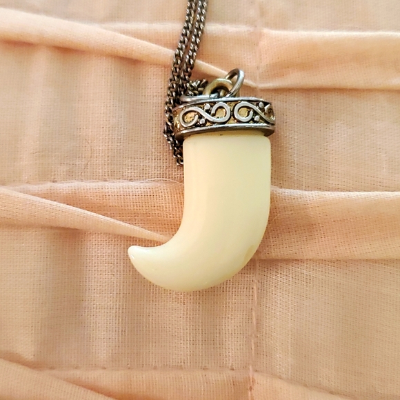 Animal Tooth Chain - Picture 1 of 5